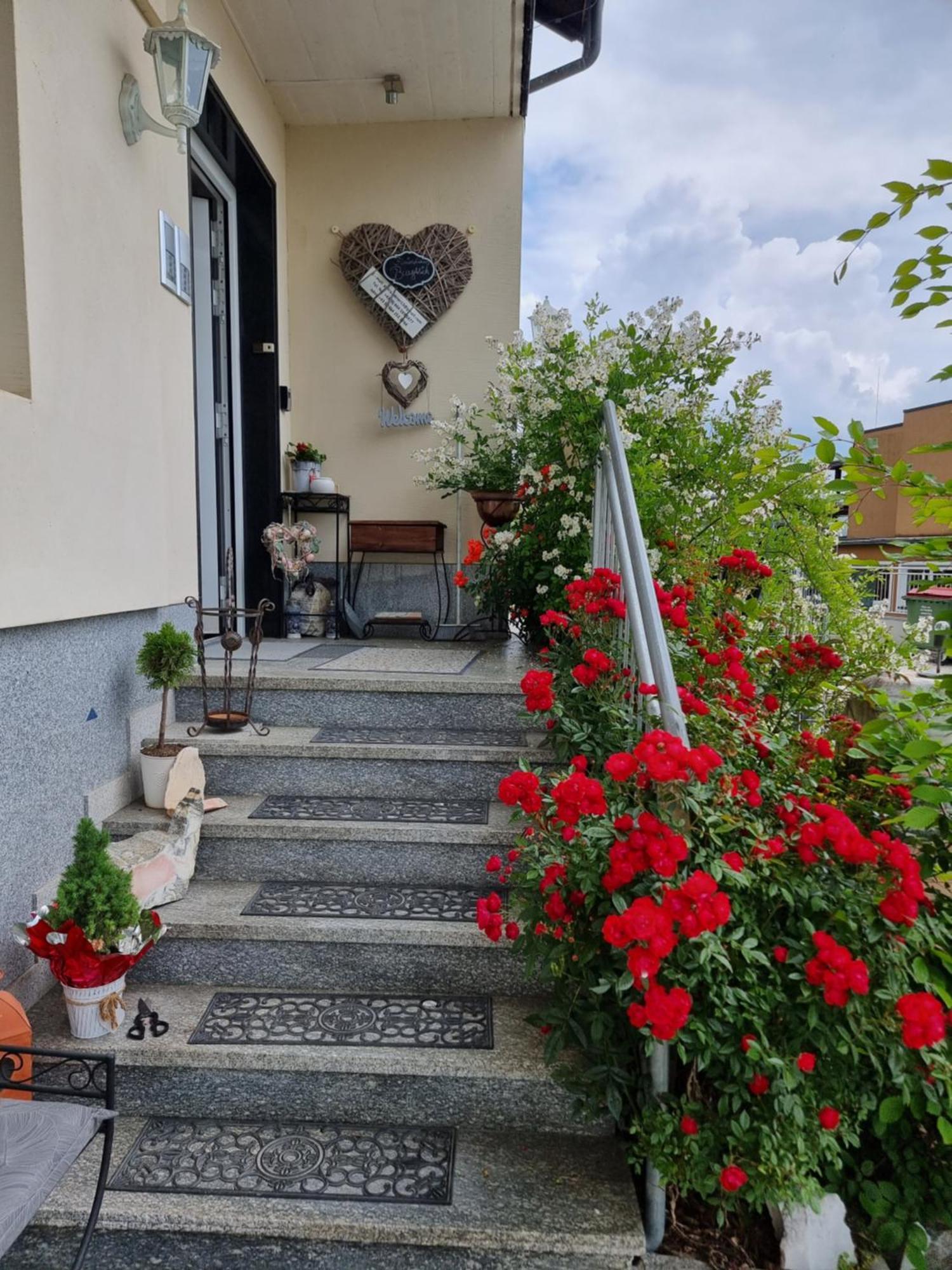 Ferienhaus Burgblick تريفن المظهر الخارجي الصورة